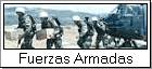 Fuerzas Armadas